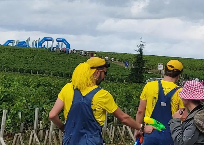 Entre Vignes Et Roses Wifi-terrasse Feriehus Saint-Estèphe